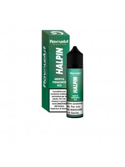 FLAVOUR ART - AROMA...