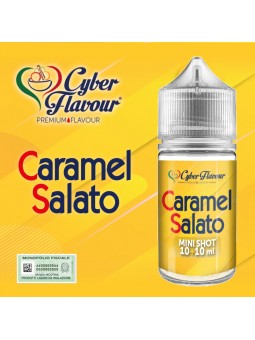 CYBER FLAVOUR - MINI SHOT...