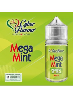 CYBER FLAVOUR - MINI SHOT...