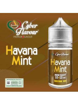 CYBER FLAVOUR - MINI SHOT...