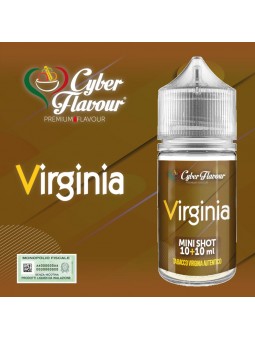 CYBER FLAVOUR - MINI SHOT...