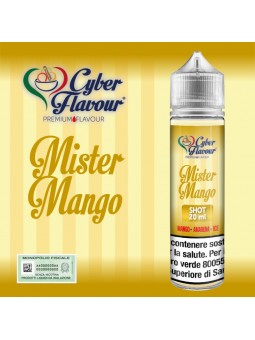 CYBER FLAVOUR - AROMA...